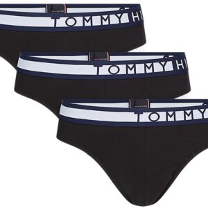 Pánské slipy Tommy Hilfiger UM0UM01227 3ks