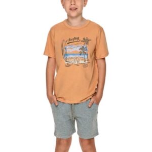 Chlapecké pyžamo Taro 2749 Wadim cinnamon