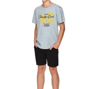 Chlapecké pyžamo Taro 2749 Wadim šedé