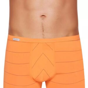 Pánské boxerky BodyandSoul 10/1-13/410 FABIO