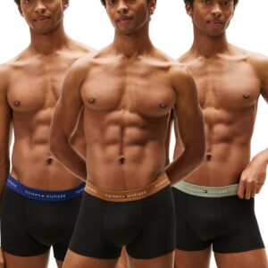 Pánské boxery Tommy Hilfiger Signature Cotton UM0UM02763 0XG