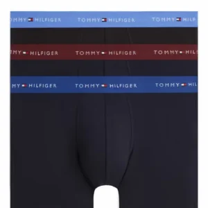 Pánské boxery Tommy Hilfiger UM0UM038740XH BOXER BRIEF