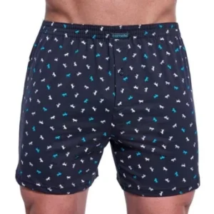 Pánské trenýrky Cornette Comfort 008/313