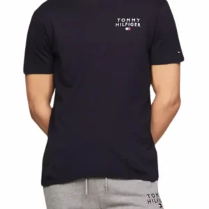 Pánské triko Tommy Hilfiger UM0UM02916 modré